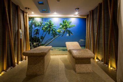 Hotel Arena Tychy Spa & Wellness Sale Biznesowe