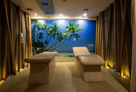 Hotel Arena Tychy Spa & Wellness Sale Biznesowe