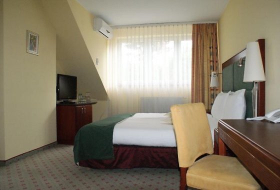 hotel *** - Hotel Wilga by Katowice Airport - Pokoje - zdjęcie 1