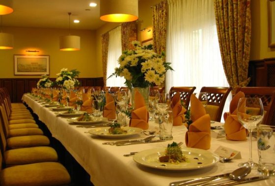 hotel *** - Hotel Wilga by Katowice Airport - Usługi - zdjęcie 1