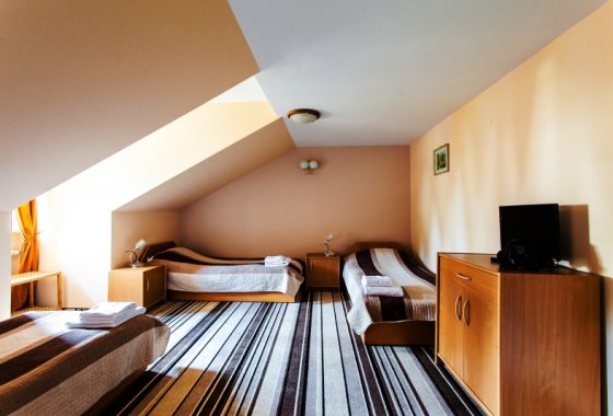 hotel *** - Zespół Zamkowo – Parkowy w Krasiczynie - Pokoje - zdjęcie 5