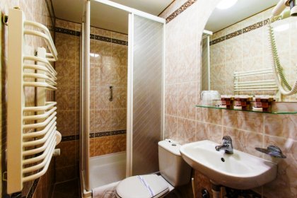hotel *** - Zespół Zamkowo – Parkowy w Krasiczynie - zdjęcie 7