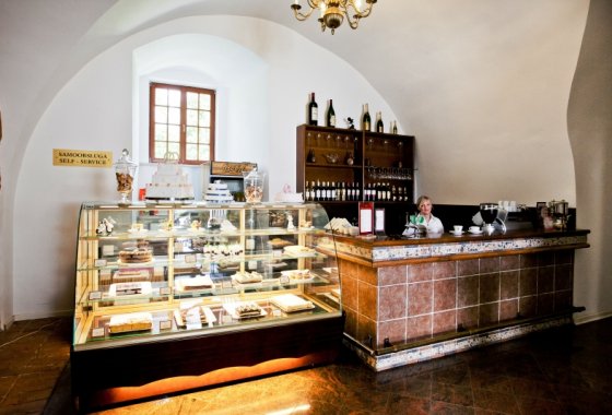 hotel *** - Zespół Zamkowo – Parkowy w Krasiczynie - Usługi - zdjęcie 7