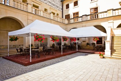 hotel *** - Zespół Zamkowo – Parkowy w Krasiczynie - zdjęcie 19