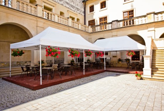 hotel *** - Zespół Zamkowo – Parkowy w Krasiczynie - Usługi - zdjęcie 6