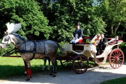 hotel *** - Zespół Zamkowo – Parkowy w Krasiczynie - zdjęcie 25