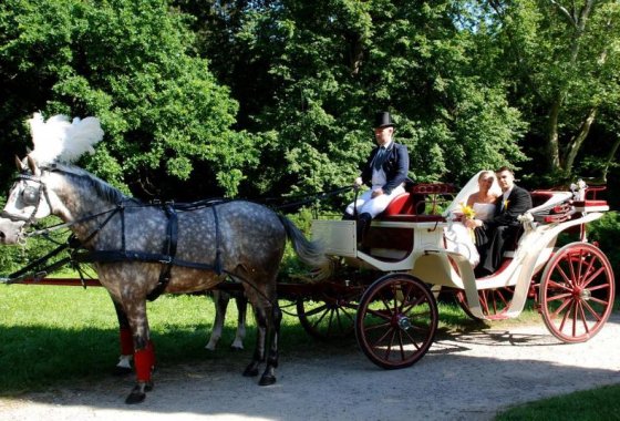 hotel *** - Zespół Zamkowo – Parkowy w Krasiczynie - Usługi - zdjęcie 1