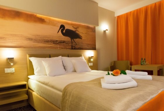 hotel **** - Hotel Amazonka CONFERENCE & SPA**** - Pokoje - zdjęcie 2