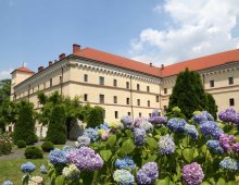 Muzeum Archeologiczne w Krakowie
