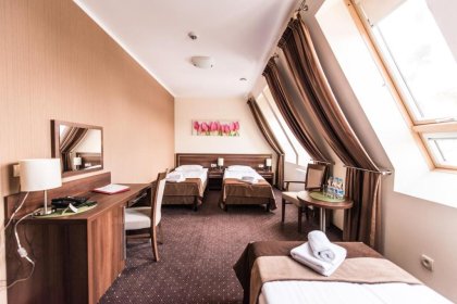 hotel *** - Hotel Austeria *** Conference&Spa - zdjęcie 10