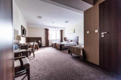 hotel *** - Hotel Austeria *** Conference&Spa - zdjęcie 11