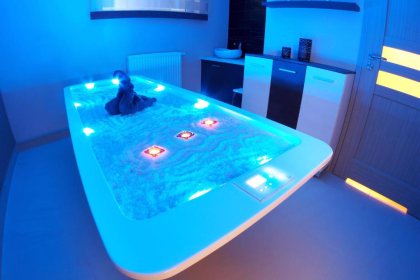 hotel *** - Hotel Austeria *** Conference&Spa - zdjęcie 13