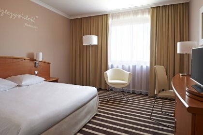 obiekt konferencyjny - Novotel & ibis Poznań Centrum - zdjęcie 14