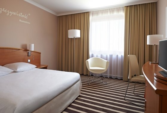 obiekt konferencyjny - Novotel & ibis Poznań Centrum - Pokoje - zdjęcie 5