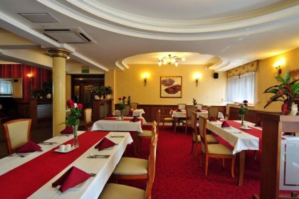 hotel **** - ARTIS **** Hotel & Spa - zdjęcie 5
