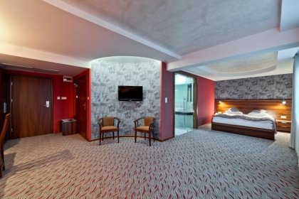 hotel **** - ARTIS **** Hotel & Spa - zdjęcie 12