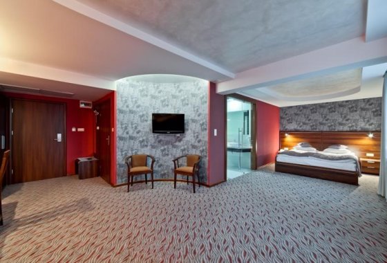hotel **** - ARTIS **** Hotel & Spa - Pokoje - zdjęcie 1