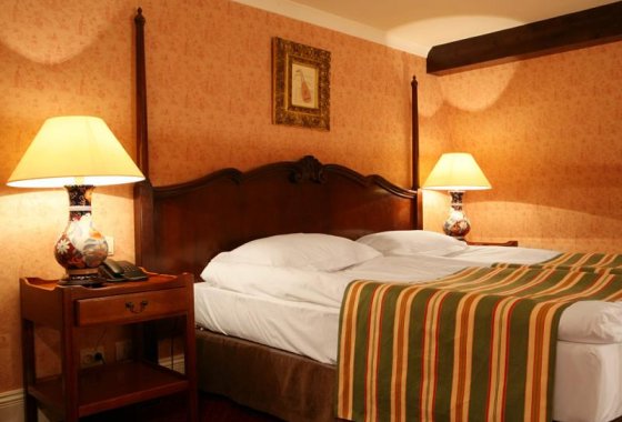 hotel **** - Dwór Sieraków - Pokoje - zdjęcie 4