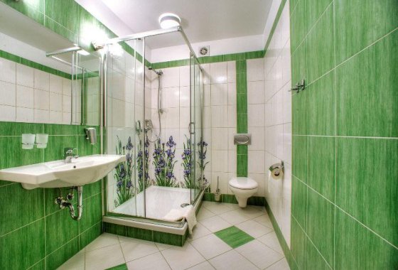obiekt konferencyjny - CARPATIA Bieszczadzki Gościniec - Pokoje - zdjęcie 4