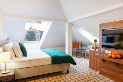 hotel **** - Hotel Verde Montana Spa & Wellnes - zdjęcie 24