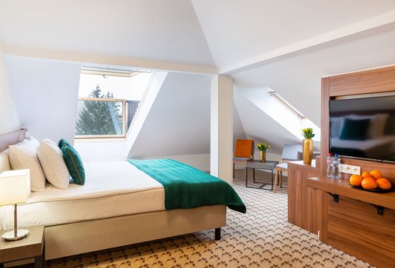 hotel **** - Hotel Verde Montana Spa & Wellnes - Pokoje - zdjęcie 6