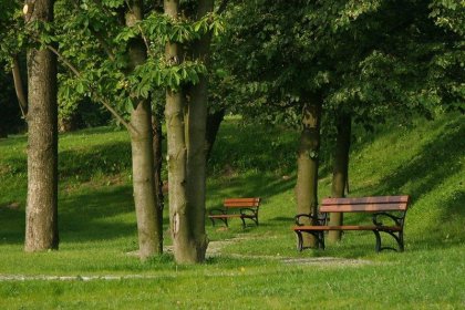 hotel *** - Zespół Dworski Hotel Sarmata*** - zdjęcie 4