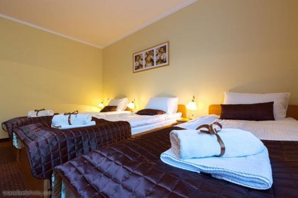 hotel *** - Hotel Vestina *** - zdjęcie 8