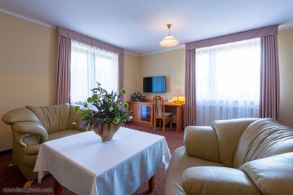 hotel *** - Hotel Vestina *** - zdjęcie 6