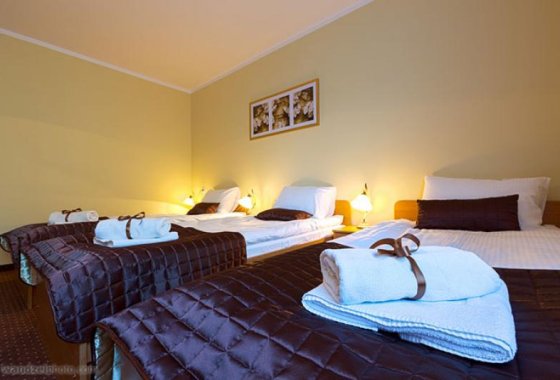 hotel *** - Hotel Vestina *** - Pokoje - zdjęcie 1