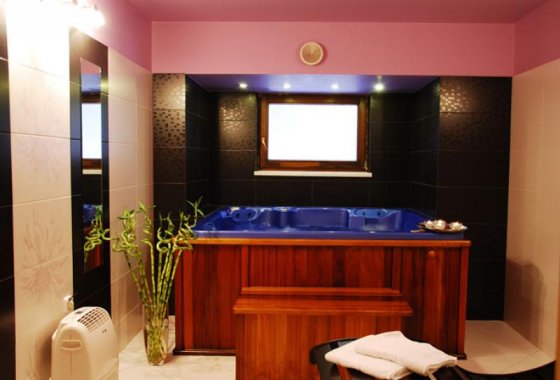 hotel *** - Hotel Vestina *** - Usługi - zdjęcie 2