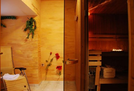 hotel *** - Hotel Vestina *** - Usługi - zdjęcie 3