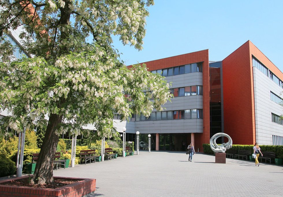 inny - Wydział Zarządzania Uniwersytetu Łódzkiego