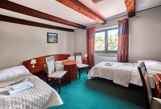 hotel *** - Hotel Star-Dadaj Resort & SPA na Mazurach - Pokoje - zdjęcie 7