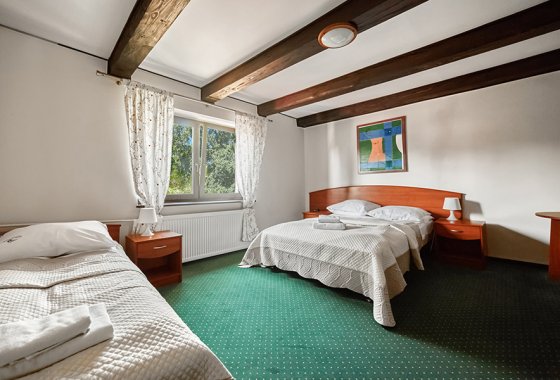 hotel *** - Hotel Star-Dadaj Resort & SPA na Mazurach - Pokoje - zdjęcie 5