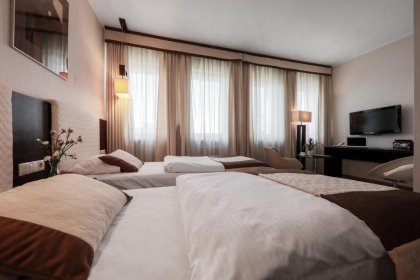 hotel *** - Hotel Borowiecki - zdjęcie 11