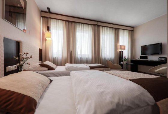 hotel *** - Hotel Borowiecki - Pokoje - zdjęcie 1