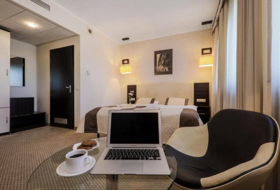 hotel *** - Hotel Borowiecki - Pokoje - zdjęcie 3