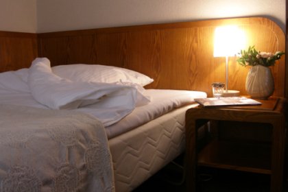 hotel *** - Hotel Rzymski - zdjęcie 5