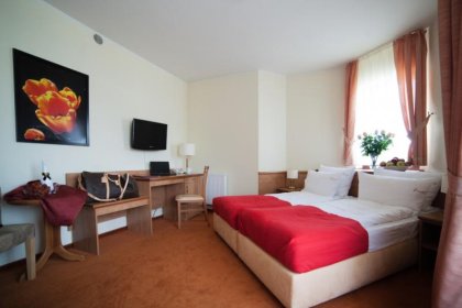 hotel *** - Hotel *** Trofana Wellness & SPA - zdjęcie 2