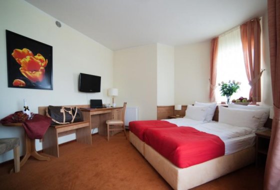 hotel *** - Hotel *** Trofana Wellness & SPA - Pokoje - zdjęcie 1