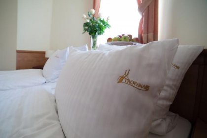 hotel *** - Hotel *** Trofana Wellness & SPA - zdjęcie 3
