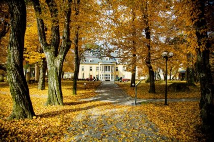 hotel **** - Hotel**** Pałac Kotulińskich - zdjęcie 5