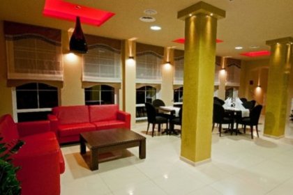 hotel *** - Hotel Niemcza SPA - zdjęcie 2