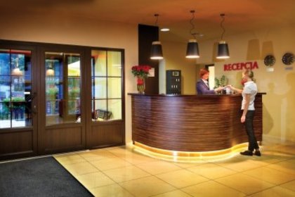 hotel *** - Hotel Niemcza SPA - zdjęcie 3