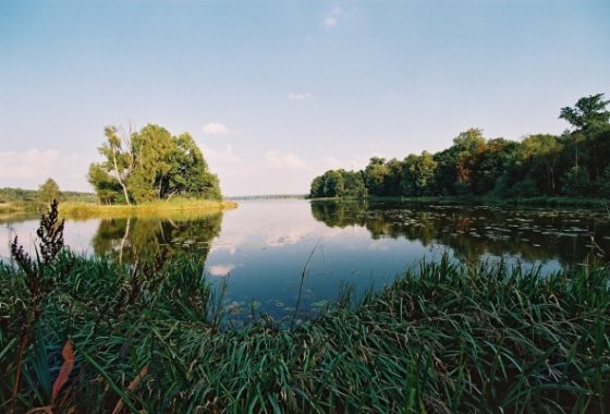 hotel **** - Hotel Noma Residence Zameczek Myśliwski Promnice - Usługi - zdjęcie 3
