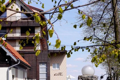 hotel *** - Hotel Srebrna Góra - zdjęcie 2
