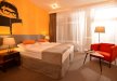hotel *** - Hotel Srebrna Góra - zdjęcie 7