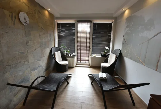 hotel *** - Hotel Srebrna Góra - Usługi - zdjęcie 1