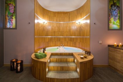 pałac - Hotel Dębowy Biowellness & SPA - zdjęcie 7