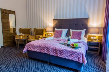 pałac - Hotel Dębowy Biowellness & SPA - zdjęcie 13